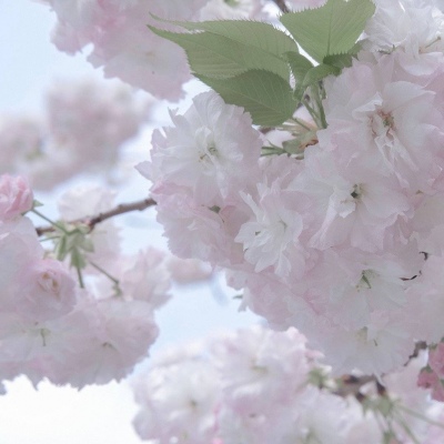 兽设科幻风格创作福瑞群